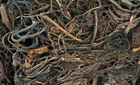 Birch Copper Scrap